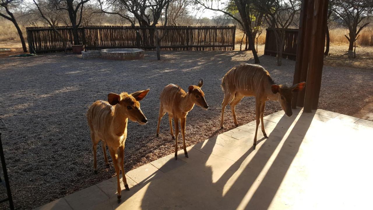 Makhato 84 Bush Lodge Bela-Bela Εξωτερικό φωτογραφία